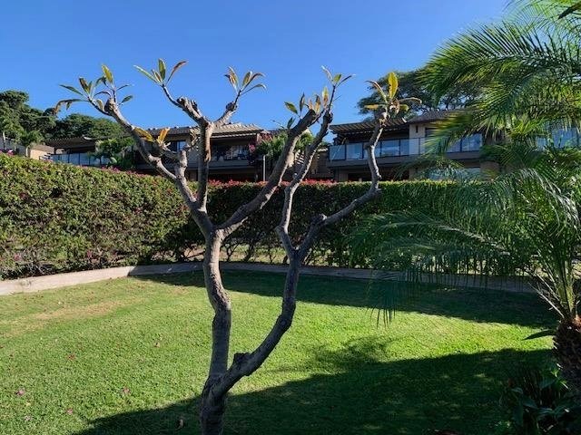Condo in Kihei, Hawaii, United States 2 - 16024636