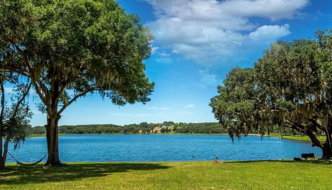 House in Dade City, Florida, United States 3 - 17221980