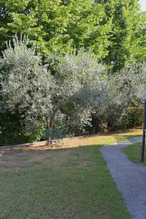 Villa à L'Ugolino, Impruneta, Toscane 5 - 17222017