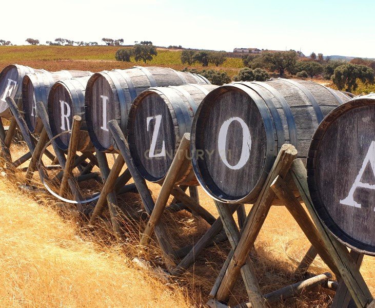 Farm Ranch in Terrugem e Vila Boim, Portalegre District, Portugal 1 - 14235379