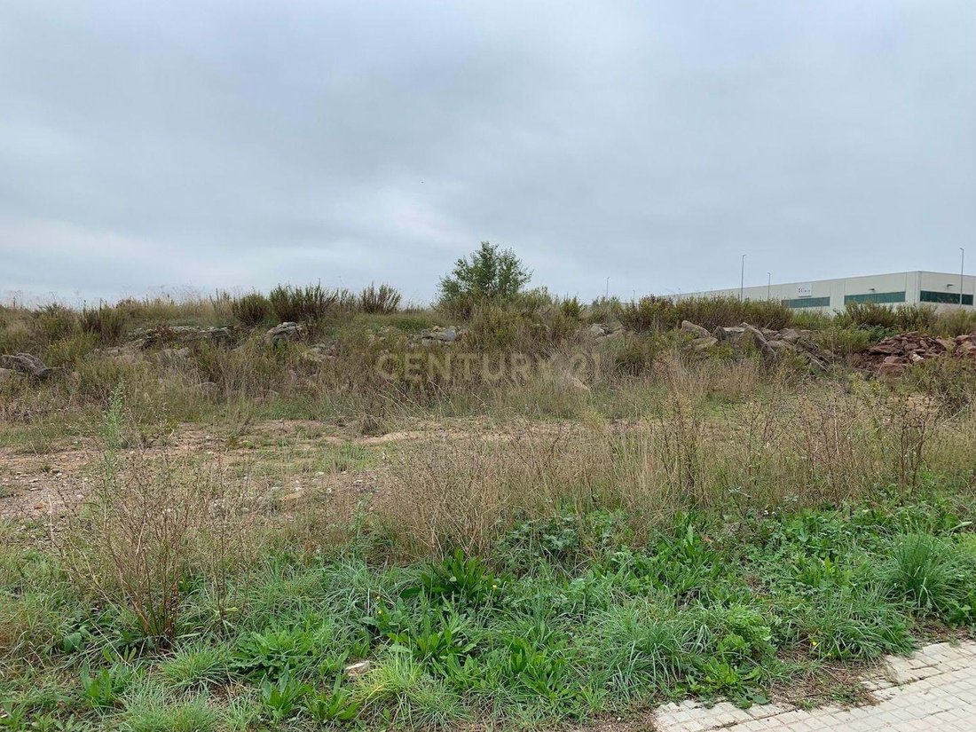 Land in Navas, Catalonia, Spain 4 - 17233660
