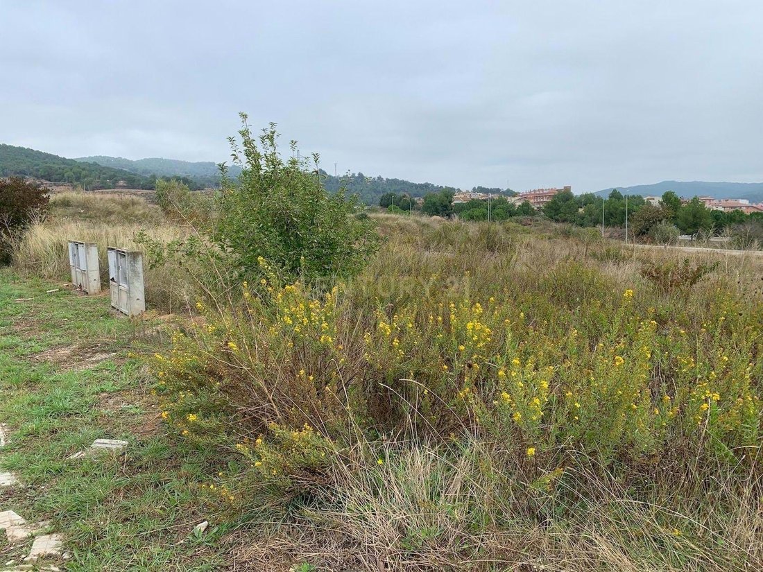 Land in Navas, Catalonia, Spain 5 - 17233660