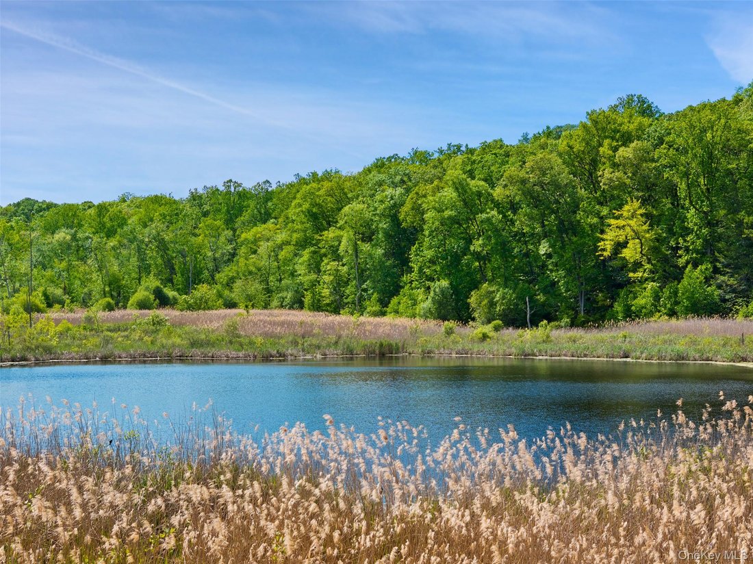 House in North Salem, New York, United States 3 - 17224651