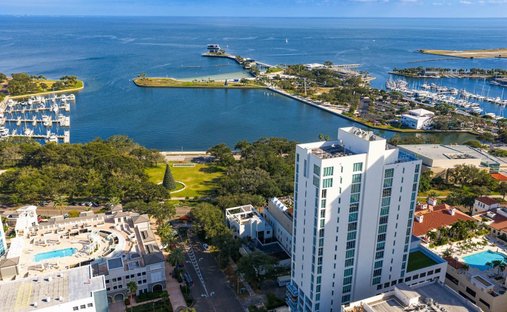 Condo in St. Petersburg, Florida, United States 1
