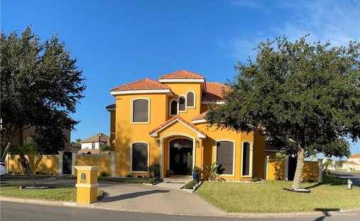 House in Elsa, Texas, United States 1