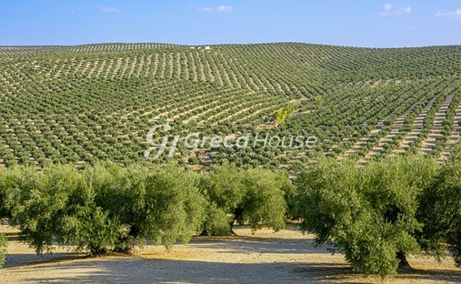 Land in Gytheio, Peloponnese, Western Greece and the Ionian, Greece 1