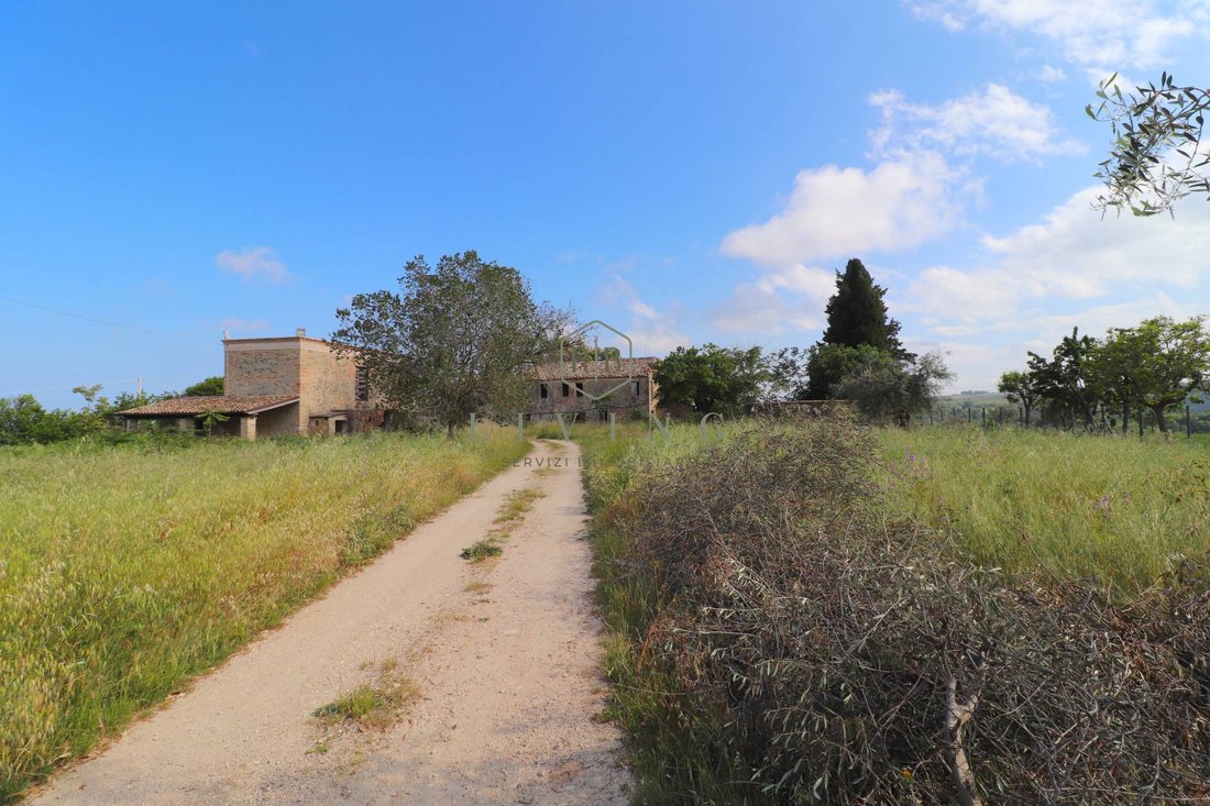 Country House in Cupra Marittima, Marche, Italy 5 - 17231770