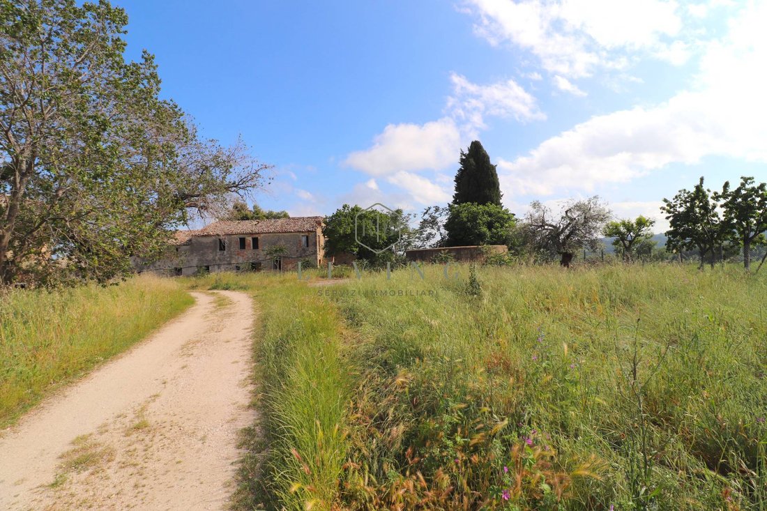 Country House in Cupra Marittima, Marche, Italy 4 - 17231770
