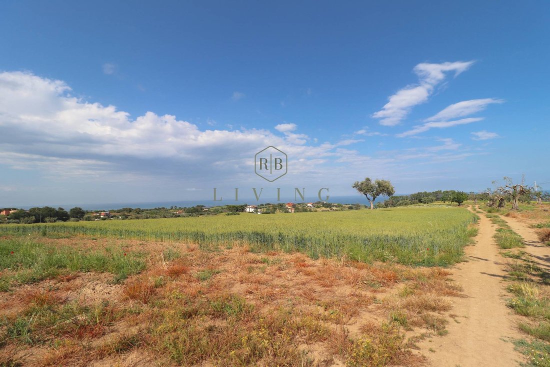 Country House in Cupra Marittima, Marche, Italy 2 - 17231770