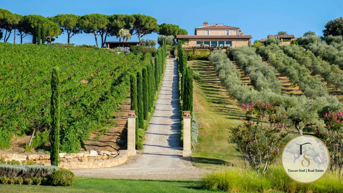 Villa in Massa Marittima, Tuscany, Italy 3 - 16708111