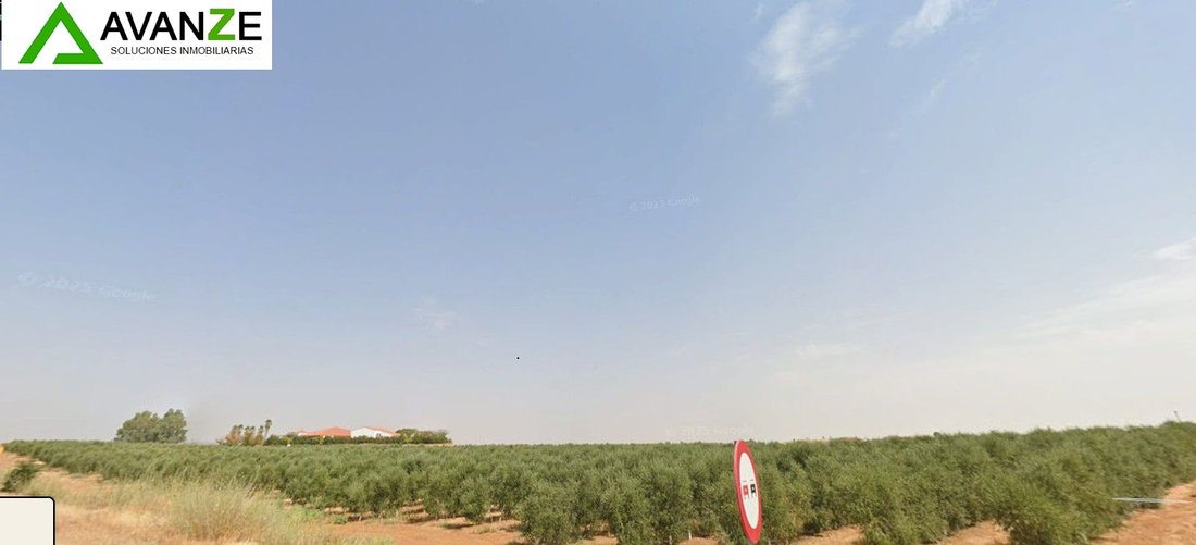 Azienda agricola a Mérida, Mérida, Spagna 5 - 17234132