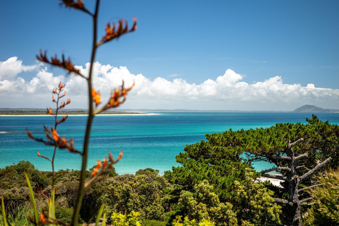 Karikari Peninsula, Northland, New Zealand 2 - 17233953