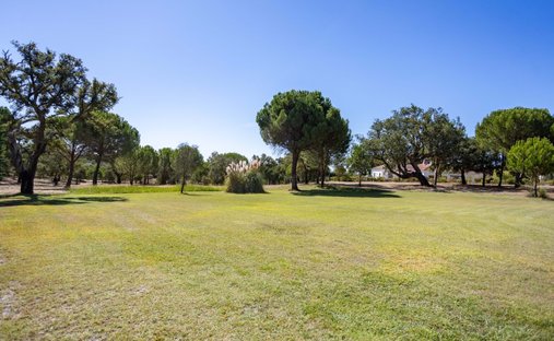 Villa in Santo Estevao, Santarem District, Portugal 1