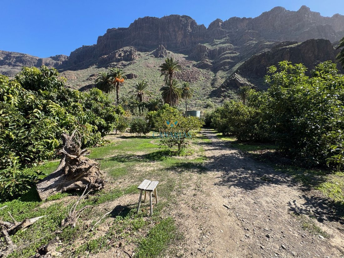 Estate in San Bartolome de Tirajana, Canary Islands, Spain 2 - 17234107