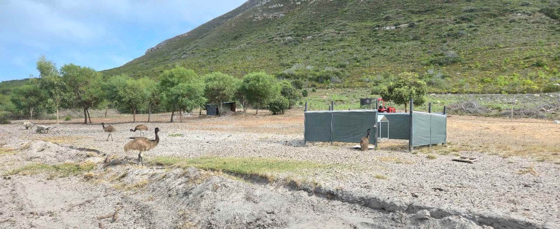 Farm Ranch in Overstrand Local Municipality, Western Cape, South Africa 2 - 17238157