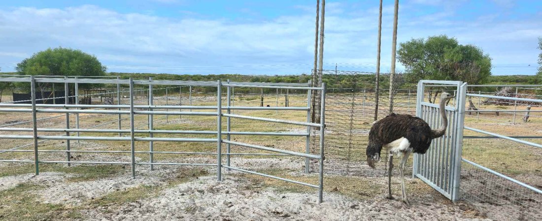 Farm Ranch in Overstrand Local Municipality, Western Cape, South Africa 3 - 17238157