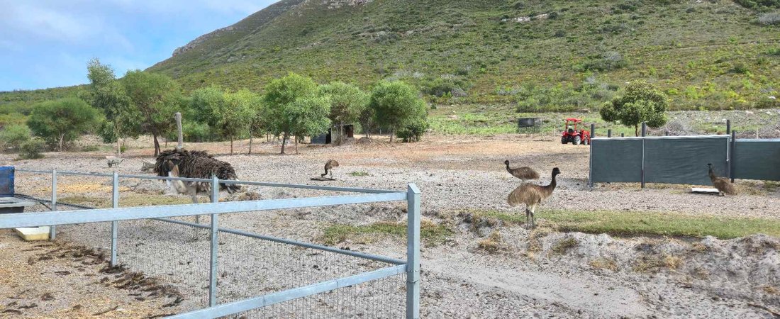 Farm Ranch in Overstrand Local Municipality, Western Cape, South Africa 4 - 17238157