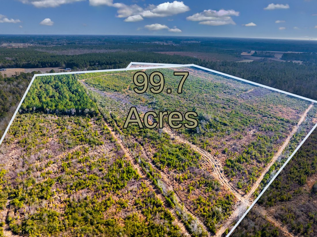 Land in Nichols, South Carolina, United States 1 - 17235827