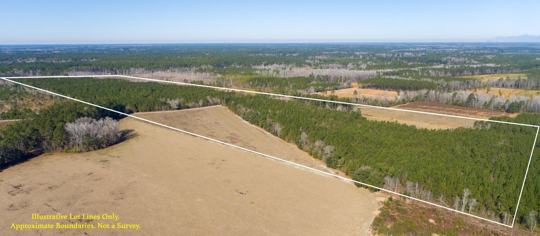 Land in Walterboro, South Carolina, United States 5 - 17237756