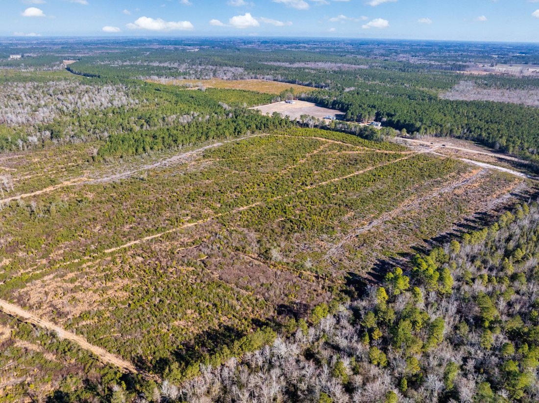 Land in Nichols, South Carolina, United States 3 - 17235827