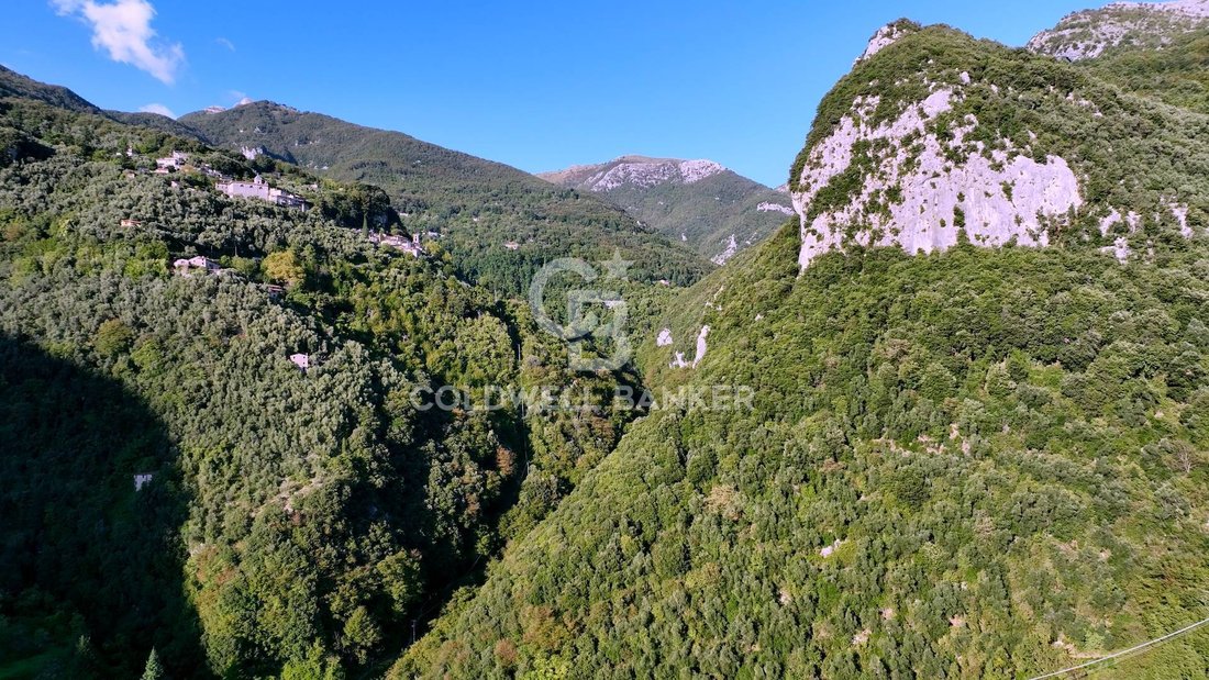 Land in Camaiore, Tuscany, Italy 1 - 17237709