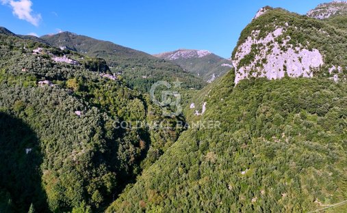 Terreno en Camaiore, Toscana, Italia 1