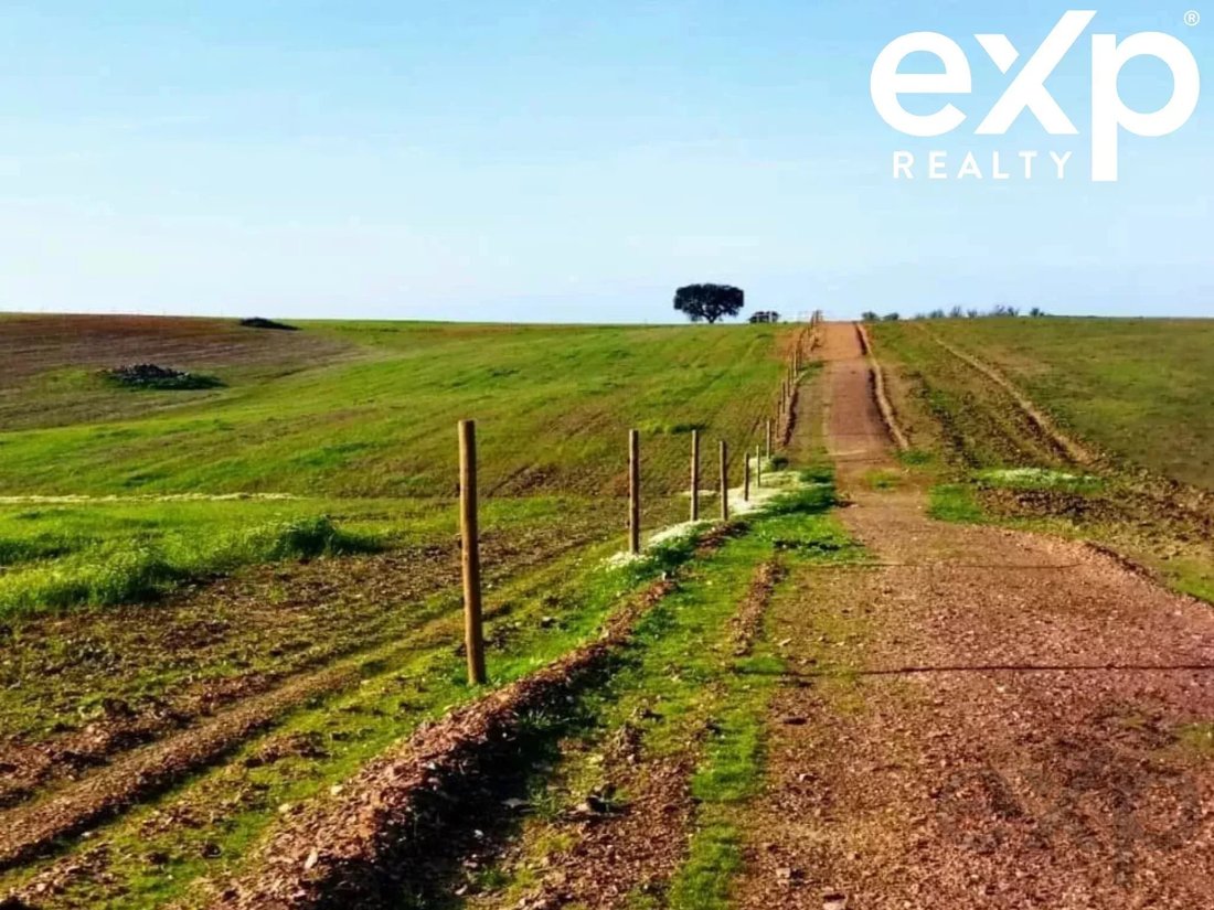 Land in Castro Verde e Casevel, Beja District, Portugal 5 - 17235584