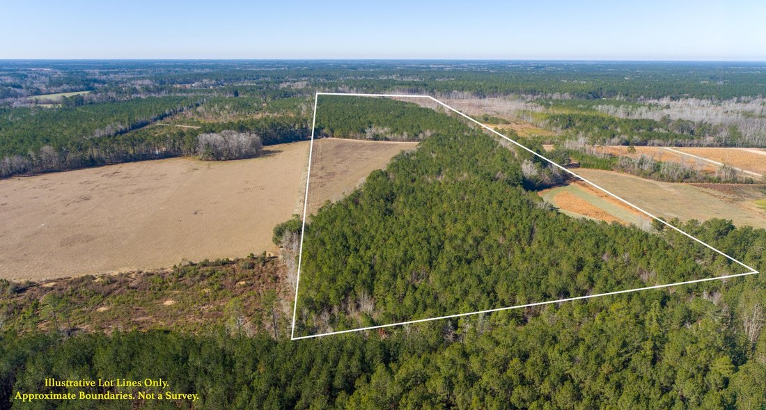 Land in Walterboro, South Carolina, United States 1 - 17237756