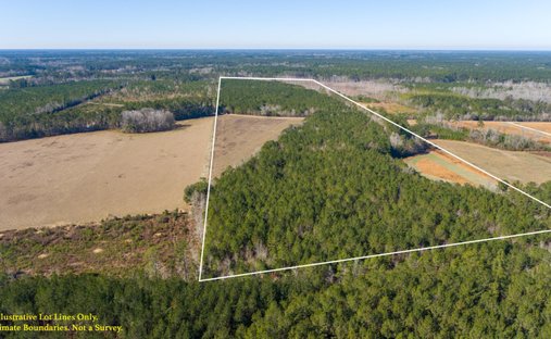 Land in Walterboro, South Carolina, United States 1