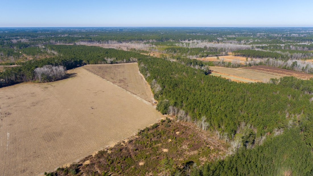 Land in Walterboro, South Carolina, United States 4 - 17237756