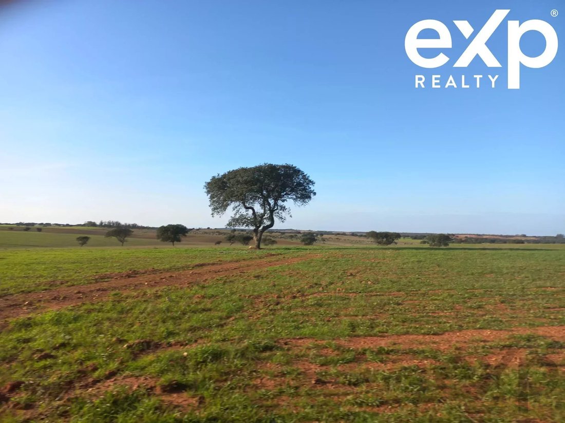 Land in Castro Verde e Casevel, Beja District, Portugal 4 - 17235584