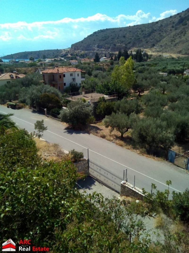 House in Delphi, Thessaly and Central Greece, Greece 3 - 17234824