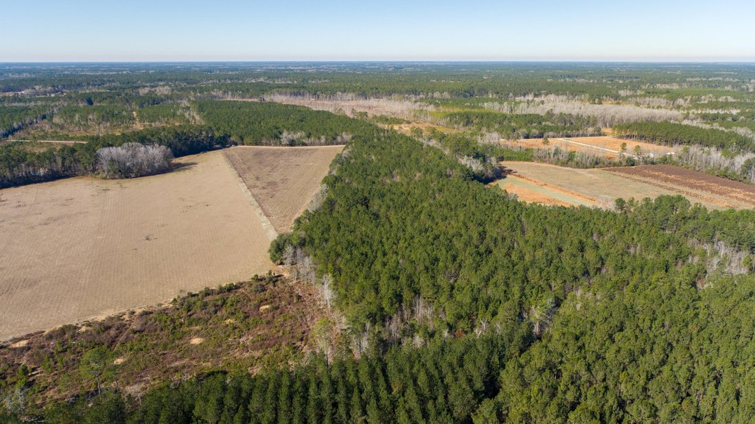 Land in Walterboro, South Carolina, United States 3 - 17237756
