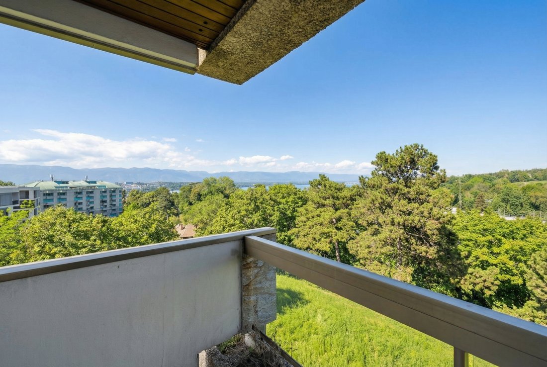 Prestigious Lake View Apartment In Cologny – A Rare Opportunity To Reimagine