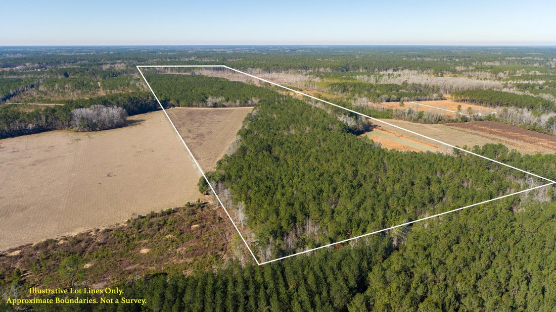 Land in Walterboro, South Carolina, United States 2 - 17237756