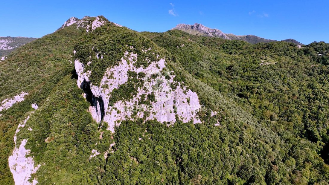 Land in Camaiore, Tuscany, Italy 2 - 17237709
