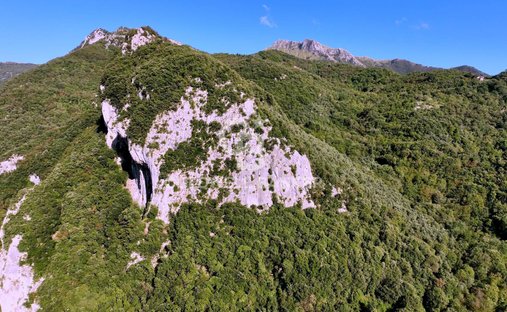 Land in Camaiore, Tuscany, Italy 1