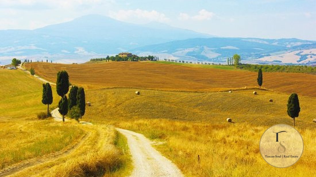 Land in Pienza, Tuscany, Italy 2 - 16708106