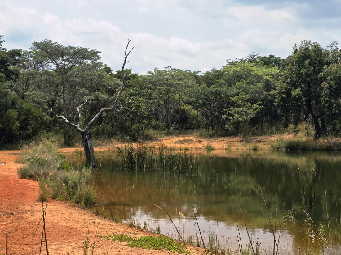 Farm Ranch in Mookgopong, Limpopo, South Africa 1 - 17235646