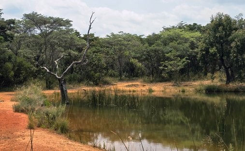 Azienda agricola a Mookgopong, Provincia del Limpopo, Sudafrica 1