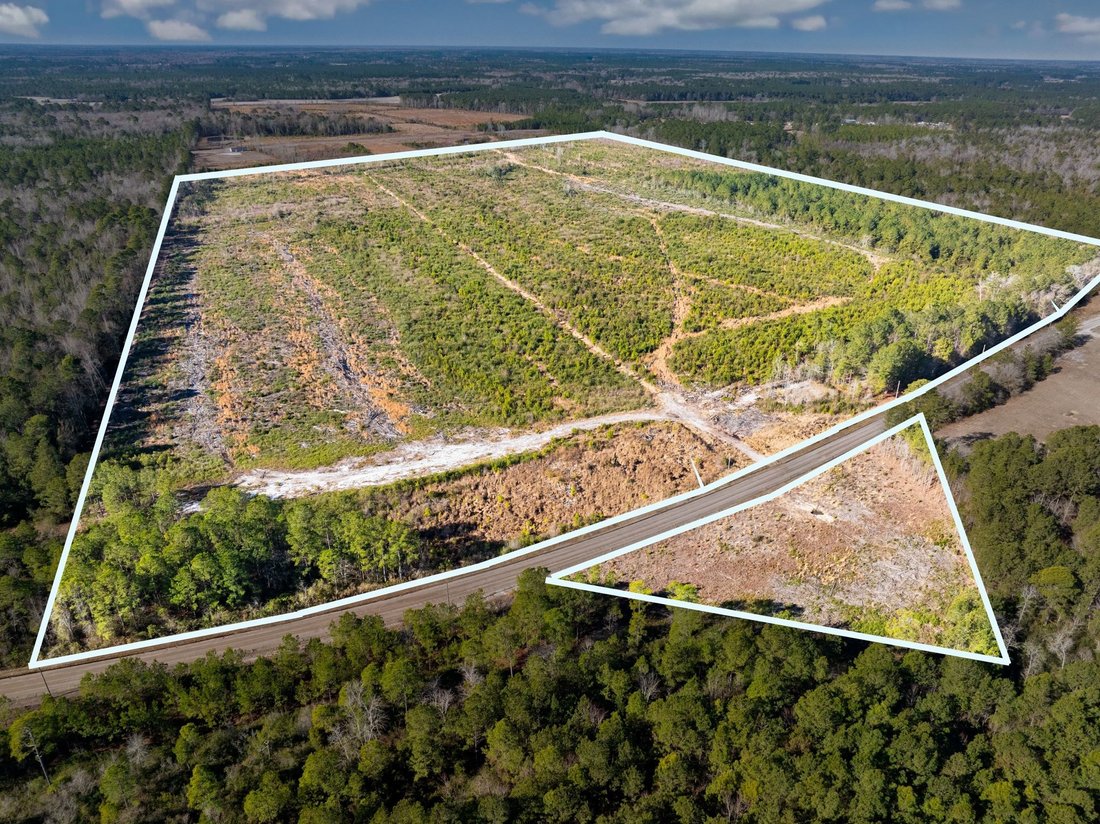 Land in Nichols, South Carolina, United States 2 - 17235827