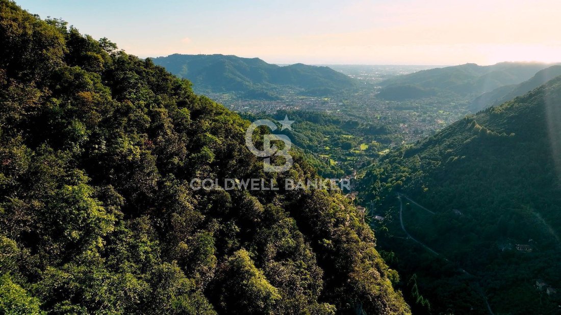 Land in Camaiore, Tuscany, Italy 3 - 17237709