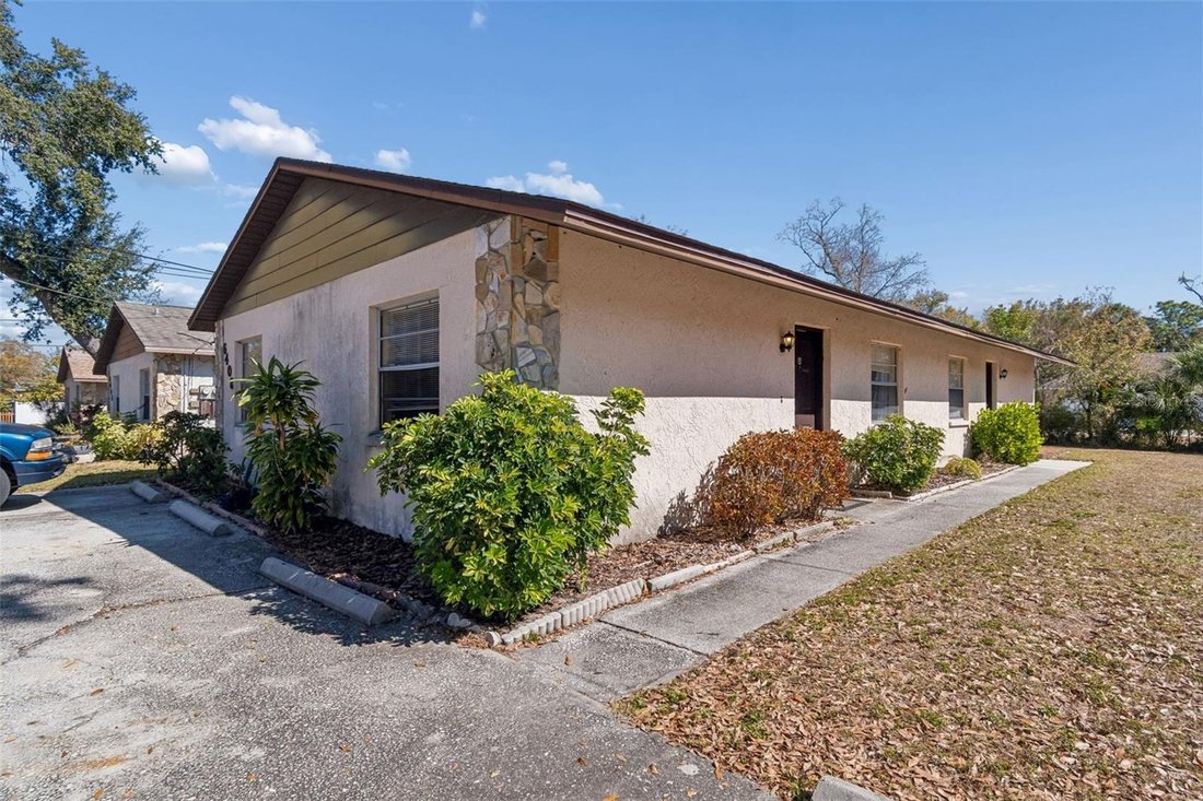 Tampa, Florida, United States 1 - 17236020