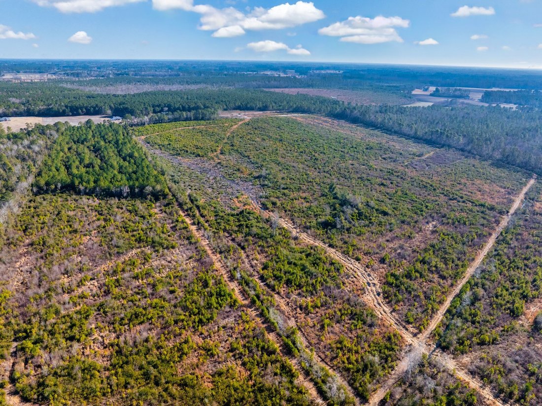 Land in Nichols, South Carolina, United States 5 - 17235827