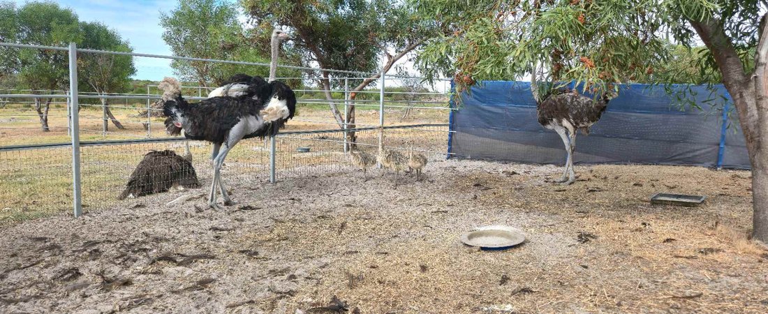 Farm Ranch in Overstrand Local Municipality, Western Cape, South Africa 5 - 17238157