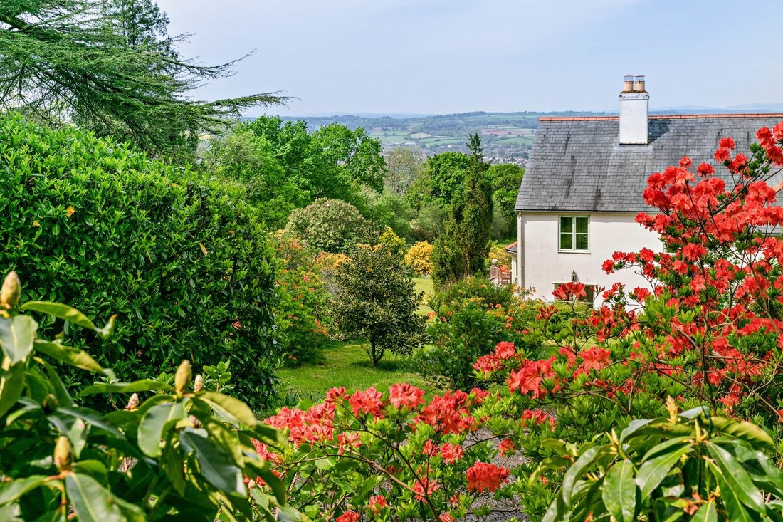 House in Ottery Saint Mary, England 2 - 17237171