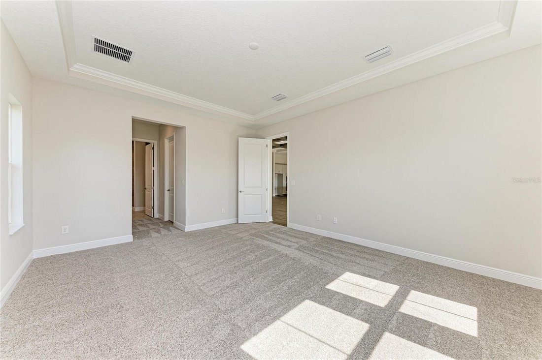 House in Zephyrhills, Florida, United States 5 - 17179061