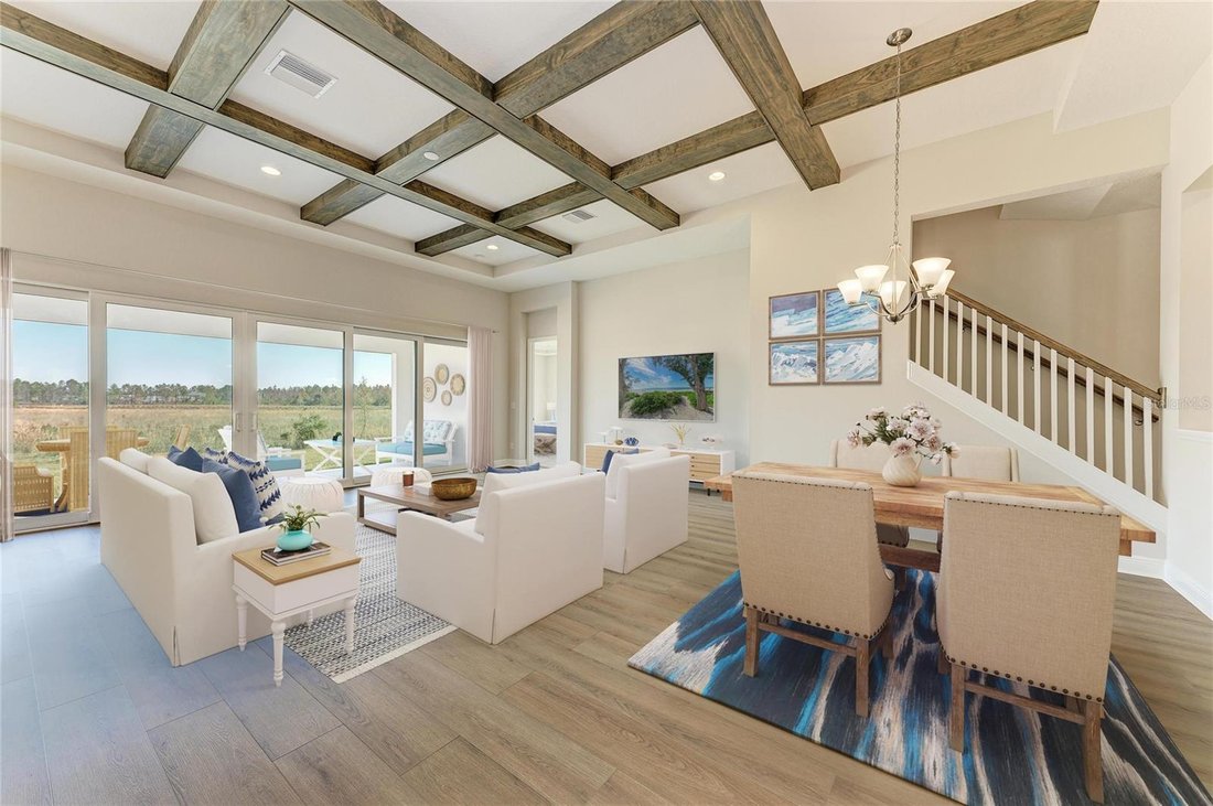 House in Zephyrhills, Florida, United States 3 - 17179058
