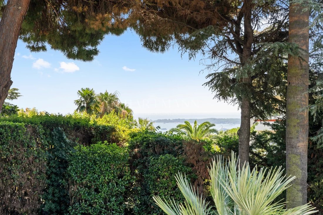 Villa in Cannes, Provence-Alpes-Côte d'Azur, France 3 - 17235422