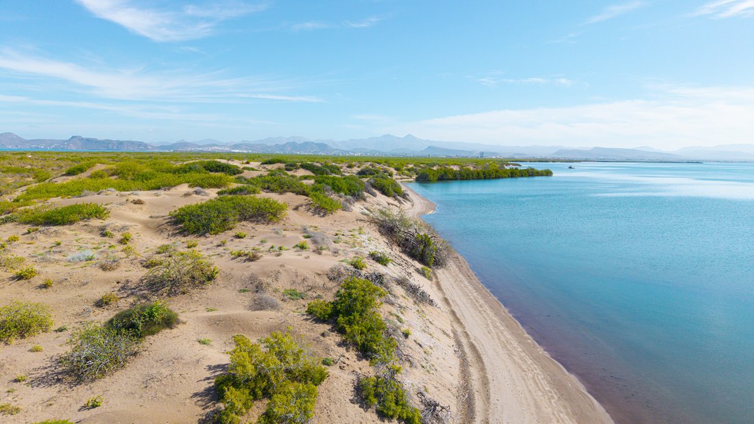 Land in La Paz, Baja California Sur, Mexico 1 - 17237654